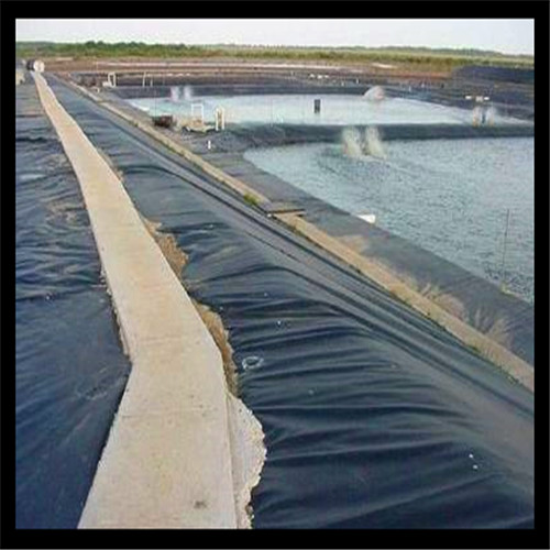 為什么說養魚池必須進行防滲處理呢 為什么說養魚池必須進行防滲處理呢