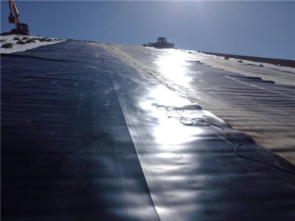 V(k)BĤ(yng)h(yun)V(xing)Ŀ