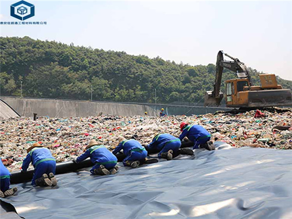 BĤڏV|(chng)(xing)Ŀ