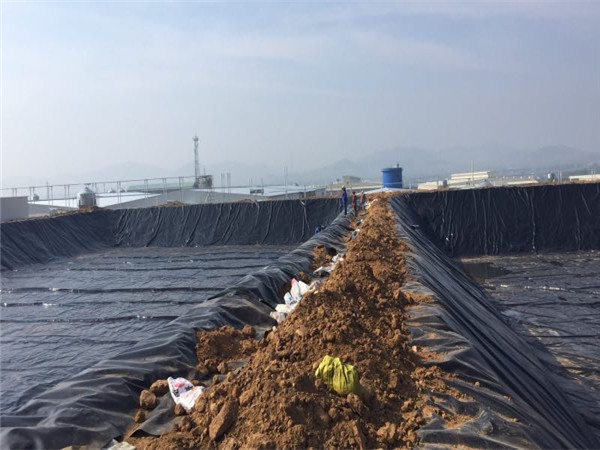 Ĥڟ_(ti)ĳB(yng)i(chng)UҺ̎(xing)Ŀ